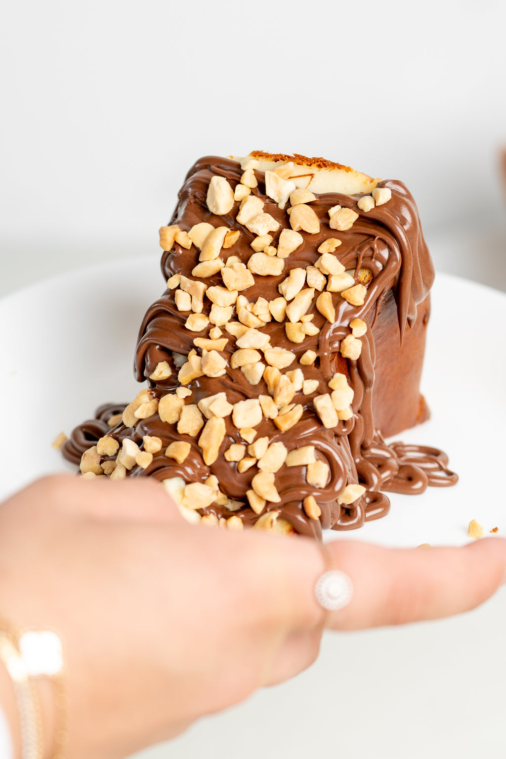 Viral Burnt Basque Cheesecake slice + Nutella Sauce
